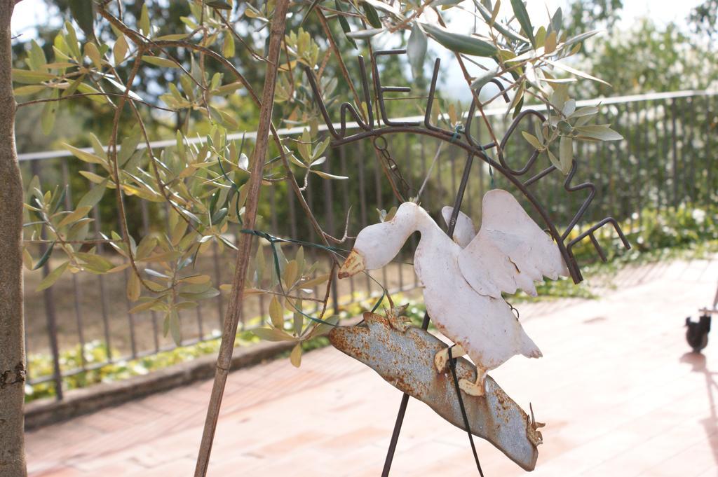 Casa Lucia In Chianti Acomodação com café da manhã Vagliagli Exterior foto