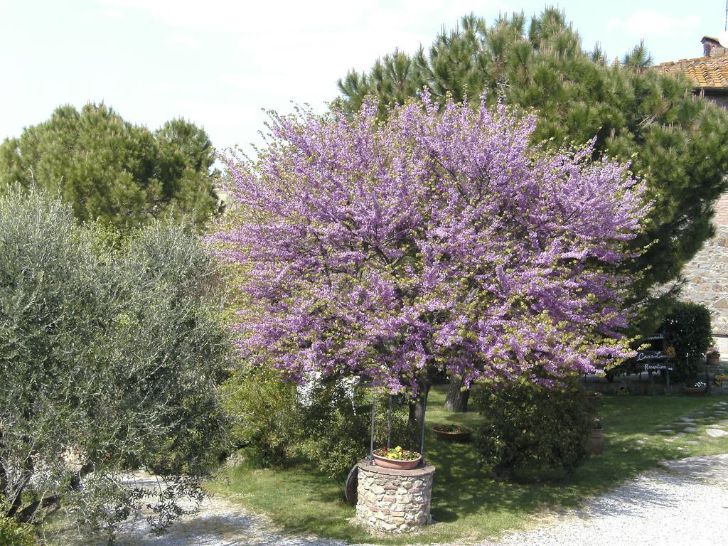 Casa Lucia In Chianti Acomodação com café da manhã Vagliagli Exterior foto